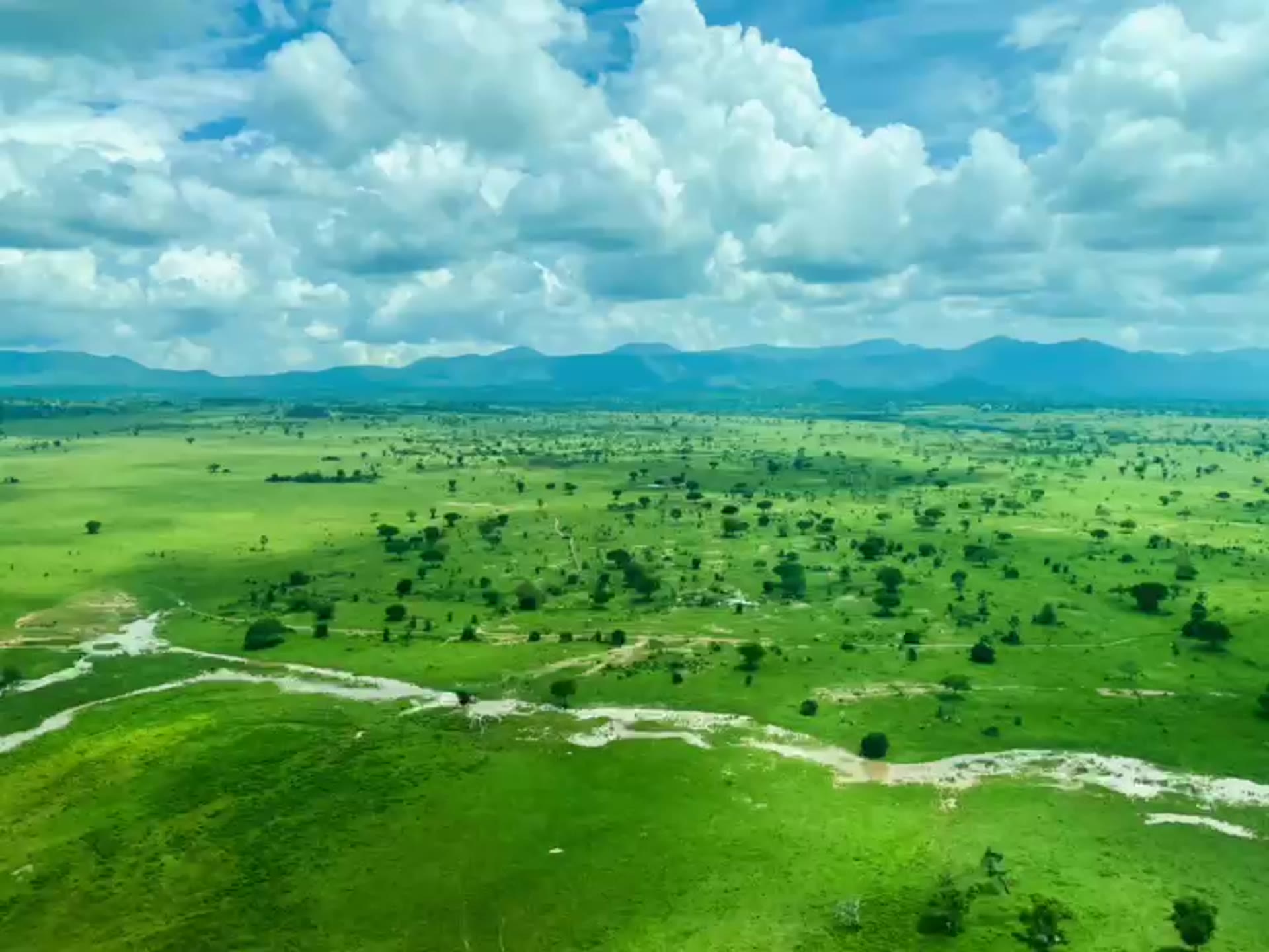 Aerial view of the Zulia plains after rain