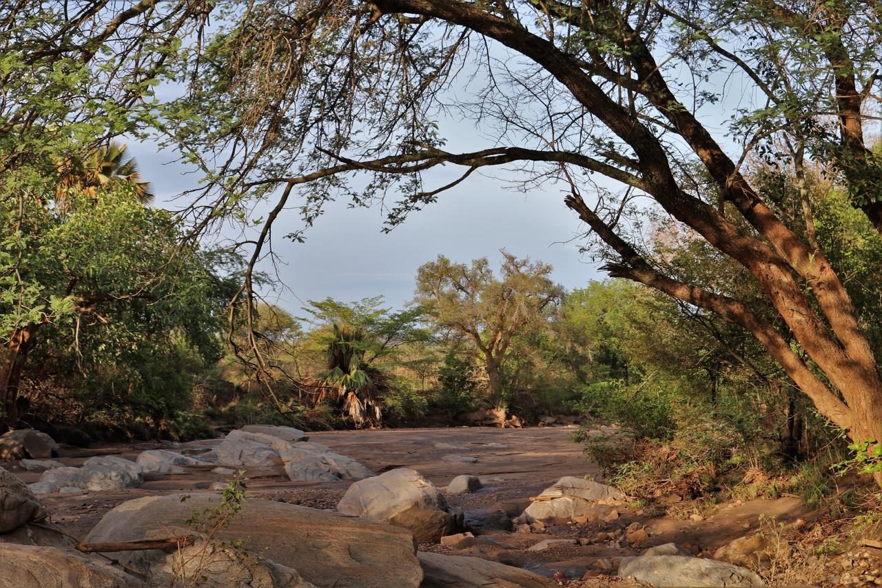 Granite slabs in a dry riverbed under riverine trees